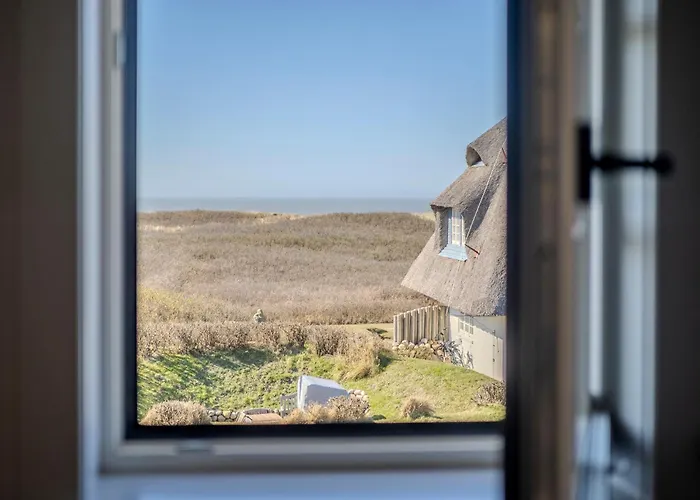 Bohosylt 6 *